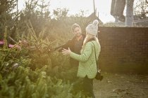 Hombre y mujer eligiendo el árbol de Navidad - foto de stock