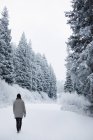Femme marchant dans la neige à travers la forêt . — Photo de stock