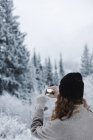 Femme photographiant des forêts de pins dans la neige — Photo de stock