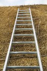 Low angle view of ladder — Stock Photo
