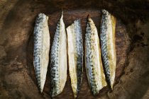 Filetes de pescado ahumado - foto de stock