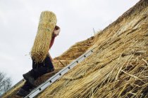 Thatcher carrying a yelm of straw — Stock Photo