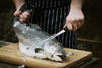 Koch beim Schuppen eines frischen Fisches. — Stockfoto