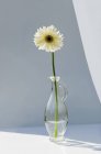 Gerbera flor en jarrón - foto de stock