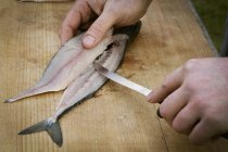 Chef filleting a fresh Mackerel — Stock Photo