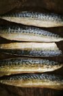 Filetes de pescado ahumado - foto de stock