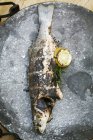 Риба на грилі з лимоном і травами . — стокове фото