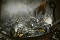 Black Mussels over a barbecue. — Stock Photo