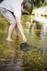 Boy paddling in shallow water — Stock Photo