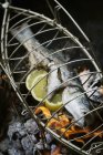 Fisch im Fischgrillkorb — Stockfoto