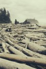 View of coastline from Ruby Beach — Stock Photo
