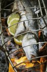 Fish in a fish grill basket — Stock Photo