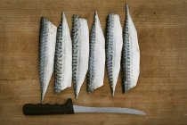 Frische Makrelenfilets — Stockfoto