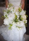 Bride holding bridal bouquet — Stock Photo