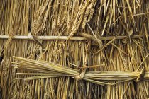 Close up of straw laid on roof — Stock Photo