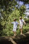 Jungen laufen am Baumstamm entlang — Stockfoto