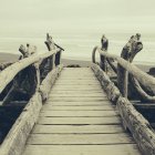 Ponte de troncos de madeira à deriva virada para o Oceano Pacífico — Fotografia de Stock