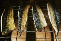 Filets de maquereau dans un fumeur de poisson . — Photo de stock