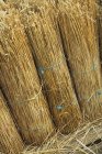 Straw for thatching a roof — Stock Photo