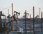 Petróleo bruto é extraído de campos de petróleo — Fotografia de Stock