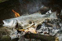 Peixe inteiro grelhado num churrasco . — Fotografia de Stock