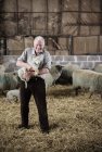Agricultor mayor con cordero recién nacido - foto de stock