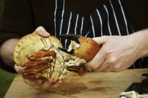 Koch bereitet eine Krabbe zu. — Stockfoto