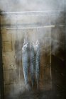 Makrele hängt in einem Fischräucher. — Stockfoto