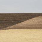 Campo de trigo en Washington - foto de stock