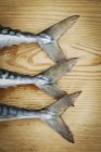 Fresh Mackerel on a chopping board — Stock Photo