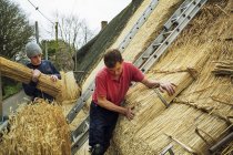Two men thatching a roof — Stock Photo