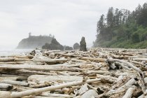 View of coastline and Ruby Beach — Stock Photo