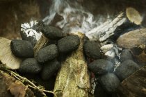 Gros plan des charbons dans la cheminée — Photo de stock