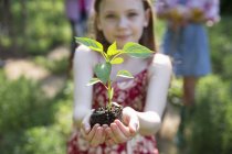 Mädchen hält Pflanze mit grünem Laub — Stockfoto