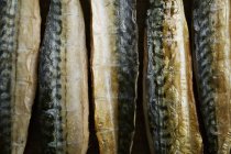 Geräucherte Fischfilets — Stockfoto