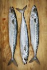 Fresh mackerel on chopping board. — Stock Photo