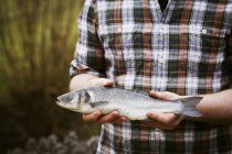 Koch hält frischen Fisch in der Hand — Stockfoto