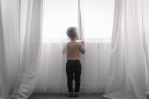 Criança olhando através de cortinas de rede — Fotografia de Stock