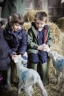 Bambini e agnelli appena nati — Foto stock