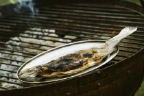 Whole grilled fish — Stock Photo
