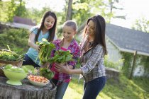 People on organic farm in the countryside — Stock Photo