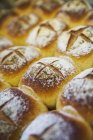Batch Brot bemehlte Brötchen — Stockfoto
