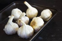 Tray with fresh bulbs of garlic — Stock Photo