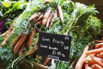 Купа органічної моркви — стокове фото