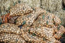 Des sacs d'oignons entassés — Photo de stock