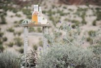 Bottiglia di vetro e paesaggio desertico — Foto stock