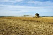 Combine harvester in field — Stock Photo
