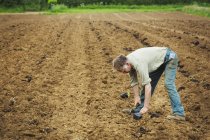 Homme se penchant sur la plantation de semis — Photo de stock