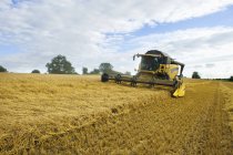 Combine harvester in a field — Stock Photo