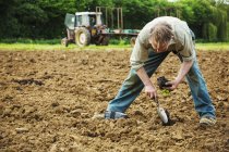 Людина висаджує дрібну розсаду в грунт — стокове фото